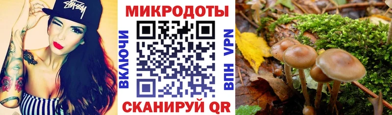 Галлюциногенные грибы MAGIC MUSHROOMS  Юхнов 
